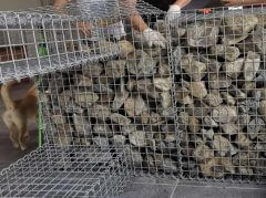 公園景觀電焊石籠網